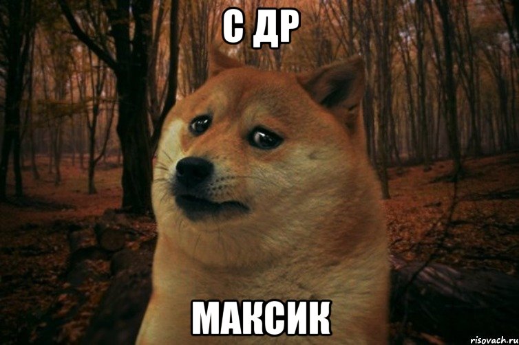 с др максик