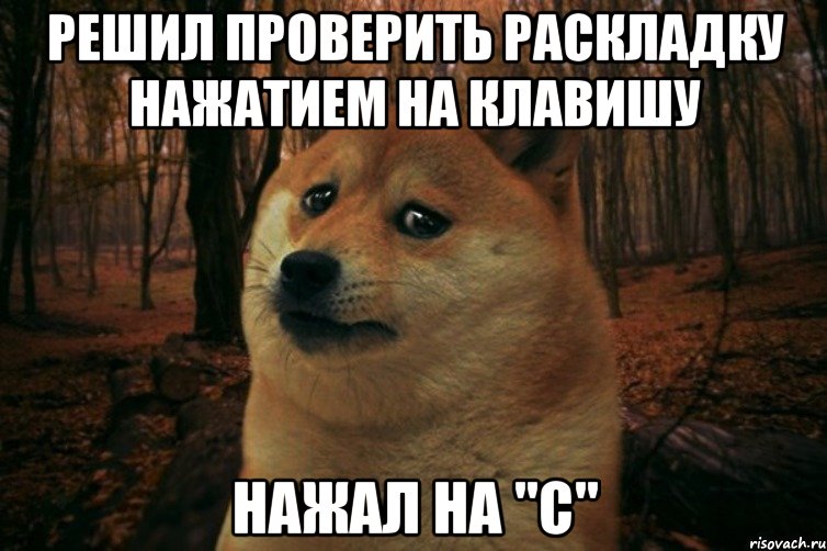 Решил проверить раскладку нажатием на клавишу Нажал на "С", Мем SAD DOGE