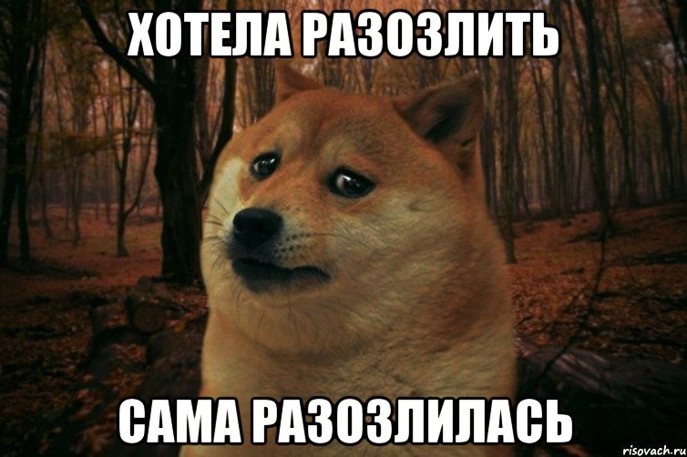 хотела разозлить сама разозлилась, Мем SAD DOGE