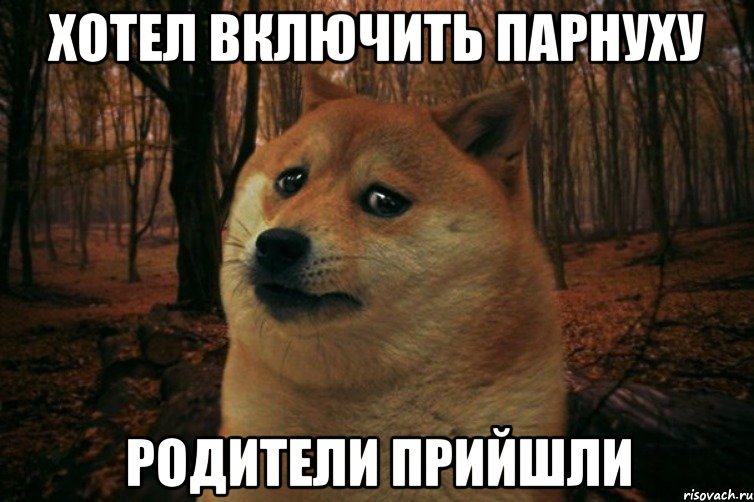 хотел включить парнуху родители прийшли, Мем SAD DOGE