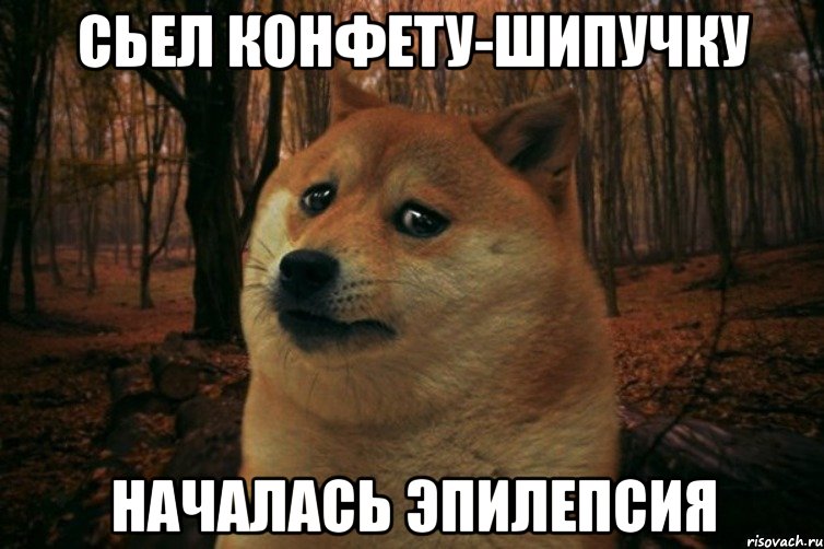 сьел конфету-шипучку началась эпилепсия, Мем SAD DOGE