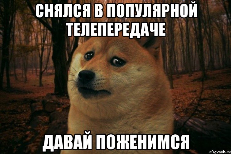 снялся в популярной телепередаче давай поженимся, Мем SAD DOGE