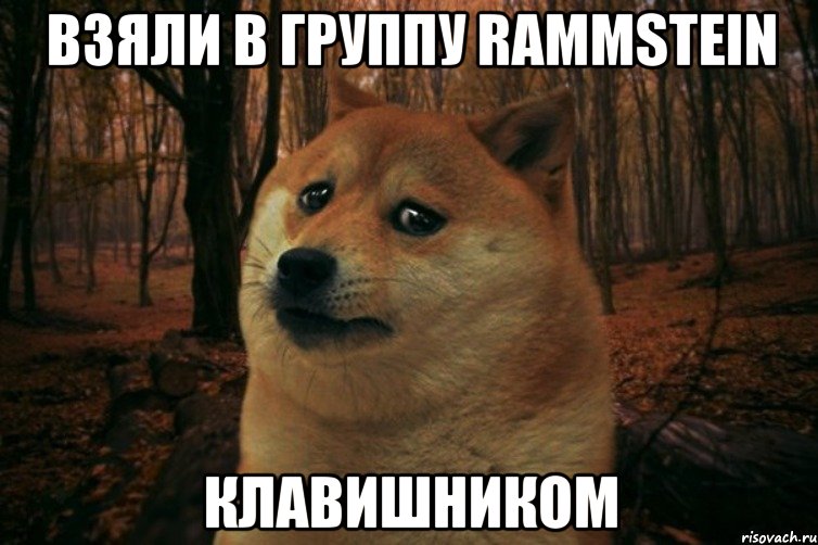 взяли в группу rammstein клавишником, Мем SAD DOGE