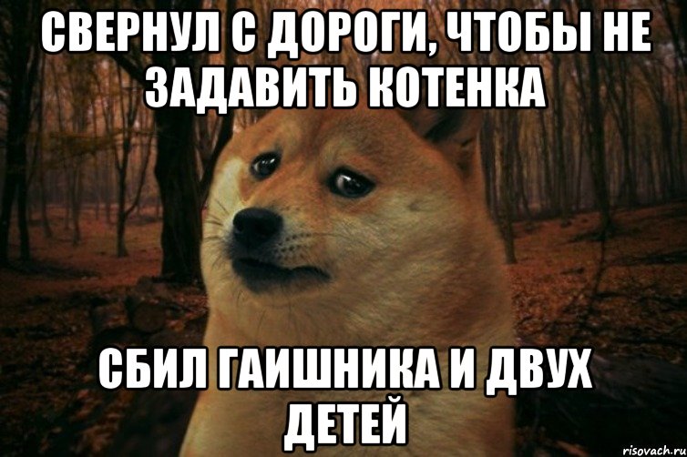 свернул с дороги, чтобы не задавить котенка сбил гаишника и двух детей, Мем SAD DOGE