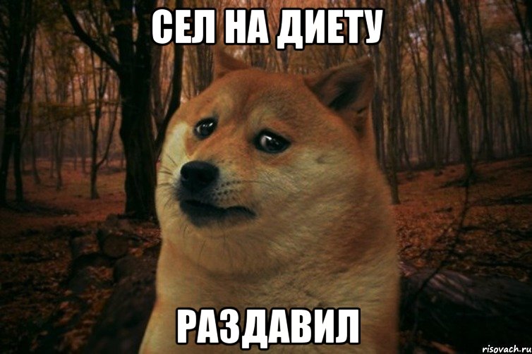 сел на диету раздавил, Мем SAD DOGE