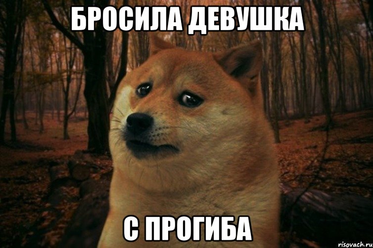 бросила девушка с прогиба, Мем SAD DOGE