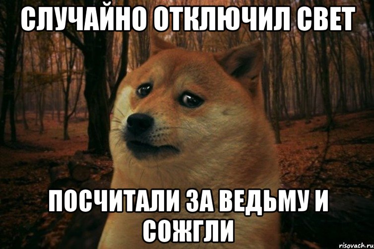 Случайно отключил свет Посчитали за ведьму и сожгли, Мем SAD DOGE