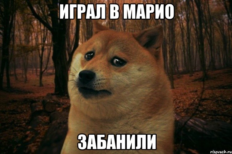 играл в марио забанили, Мем SAD DOGE