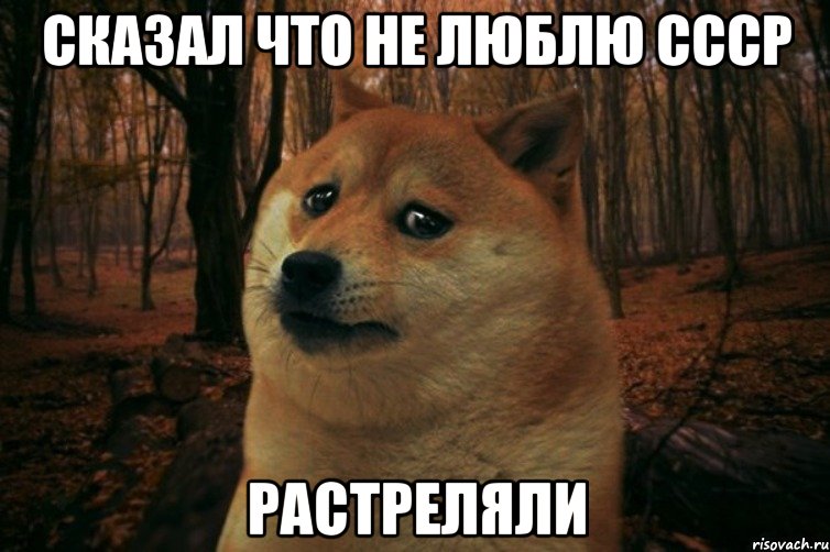 Сказал что не люблю СССР Растреляли, Мем SAD DOGE