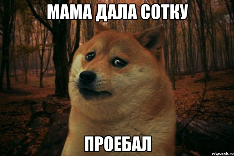 Мама дала сотку Проебал, Мем SAD DOGE