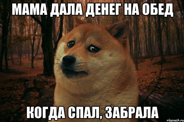 мама дала денег на обед когда спал, забрала, Мем SAD DOGE