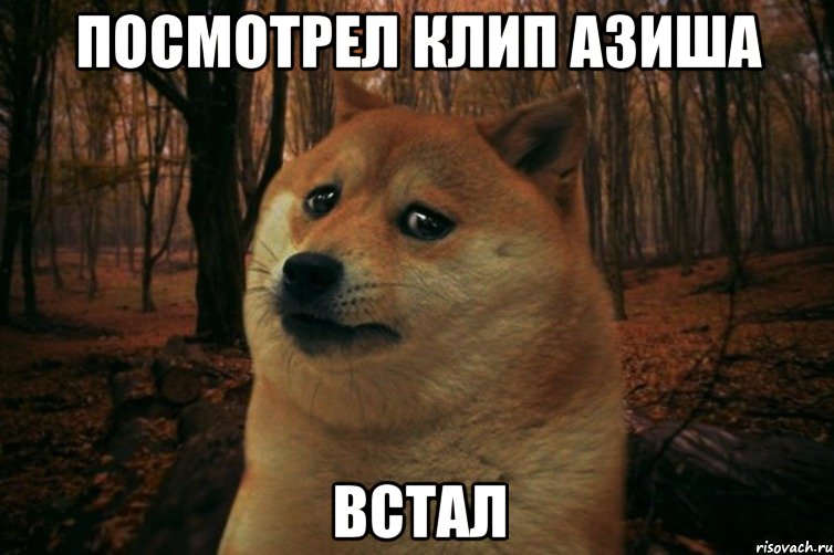 посмотрел клип азиша встал, Мем SAD DOGE