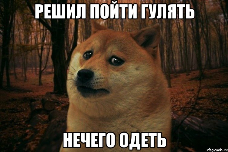 Решил пойти гулять нечего одеть, Мем SAD DOGE