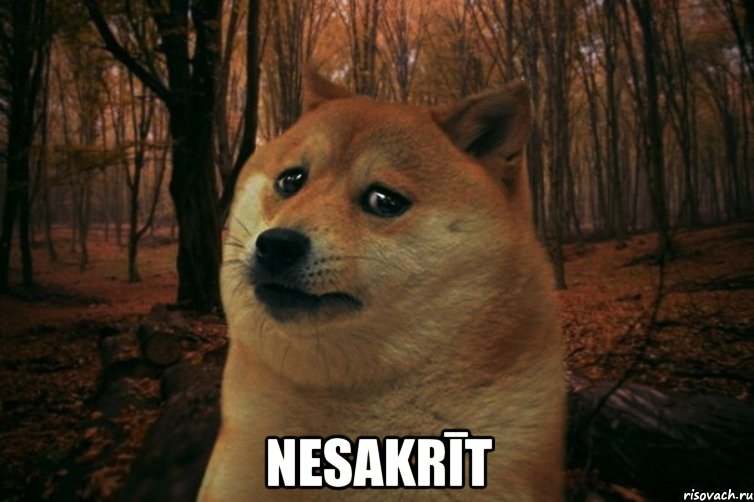  Nesakrīt, Мем SAD DOGE