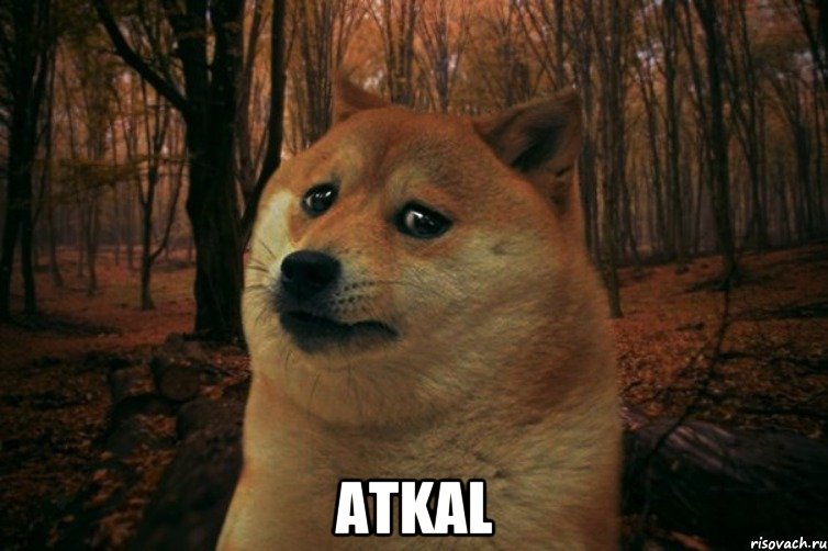  atkal, Мем SAD DOGE