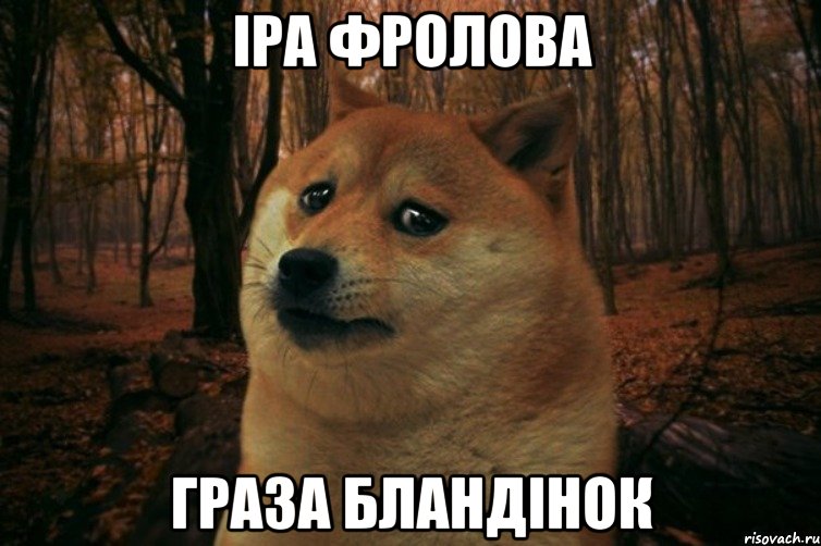 Іра Фролова Граза бландінок, Мем SAD DOGE