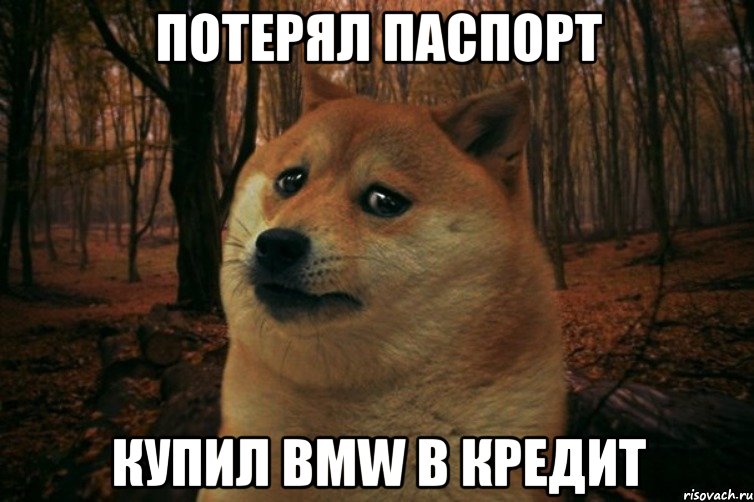 потерял паспорт купил BMW в кредит, Мем SAD DOGE