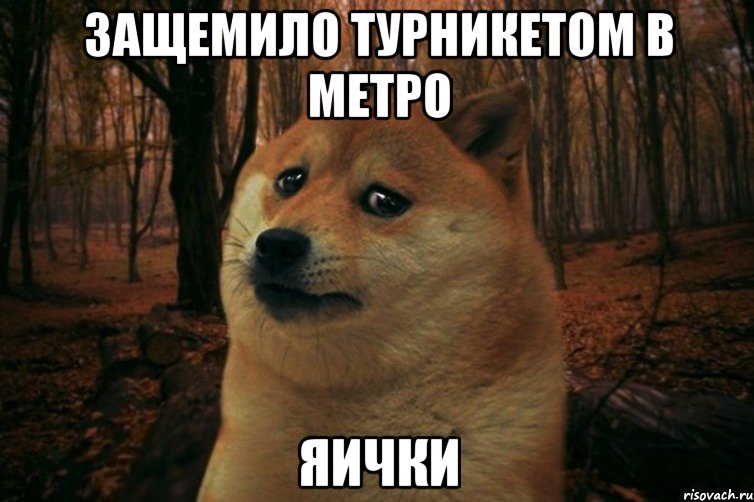 защемило турникетом в метро яички, Мем SAD DOGE