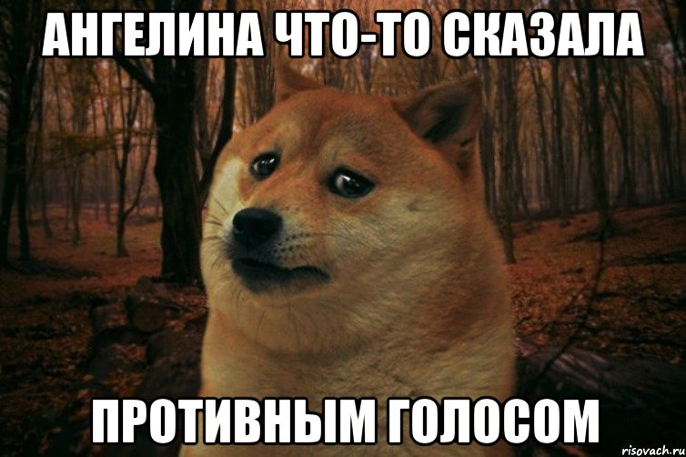 Ангелина что-то сказала противным голосом, Мем SAD DOGE