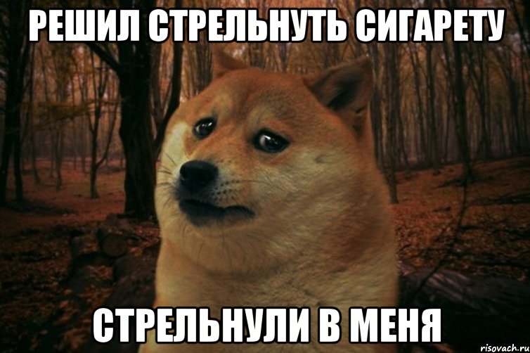 решил стрельнуть сигарету стрельнули в меня, Мем SAD DOGE