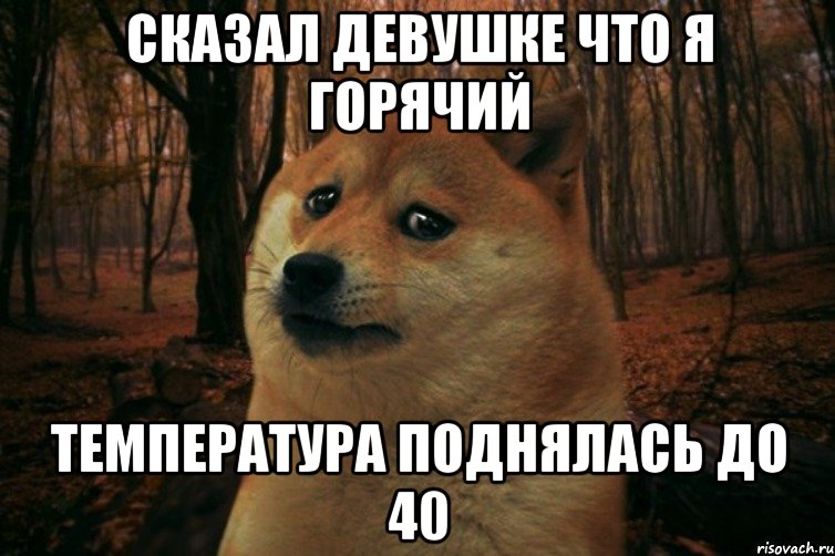 сказал девушке что я горячий температура поднялась до 40, Мем SAD DOGE