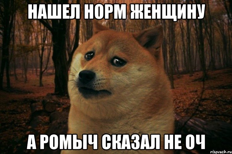 Нашел норм женщину а ромыч сказал не оч, Мем SAD DOGE