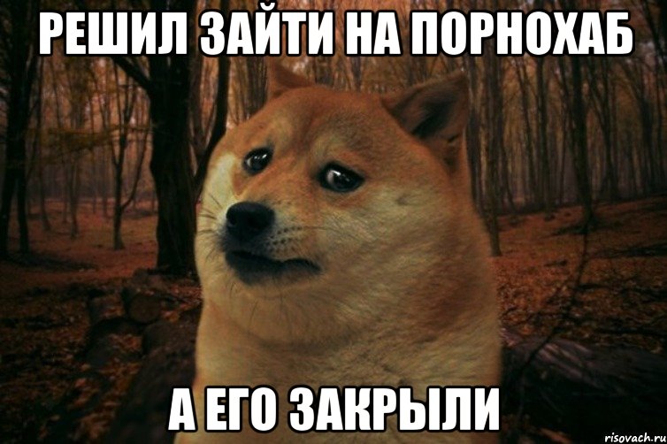 решил зайти на порнохаб а его закрыли, Мем SAD DOGE