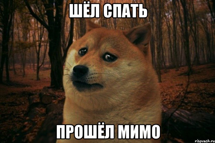 шёл спать прошёл мимо, Мем SAD DOGE