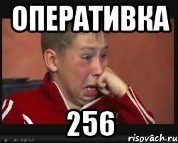 оперативка 256