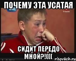 Почему эта усатая сидит передо мной?!(((