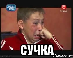  сучка