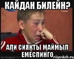 кайдан билейн? Али сиякты маймыл емеспинго