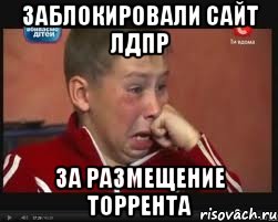 Заблокировали сайт ЛДПР За размещение торрента