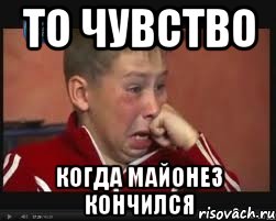 То чувство Когда майонез кончился
