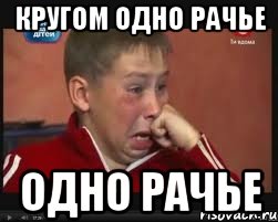 кругом одно рачье одно рачье