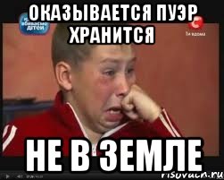 Оказывается пуэр хранится не в земле