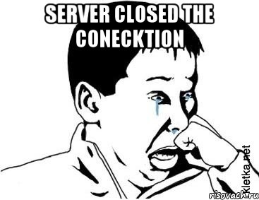 Server closed the conecktion , Мем сашок