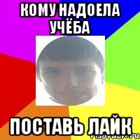 Кому надоела учёба поставь лайк