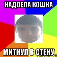 Надоела кошка митнул в стену