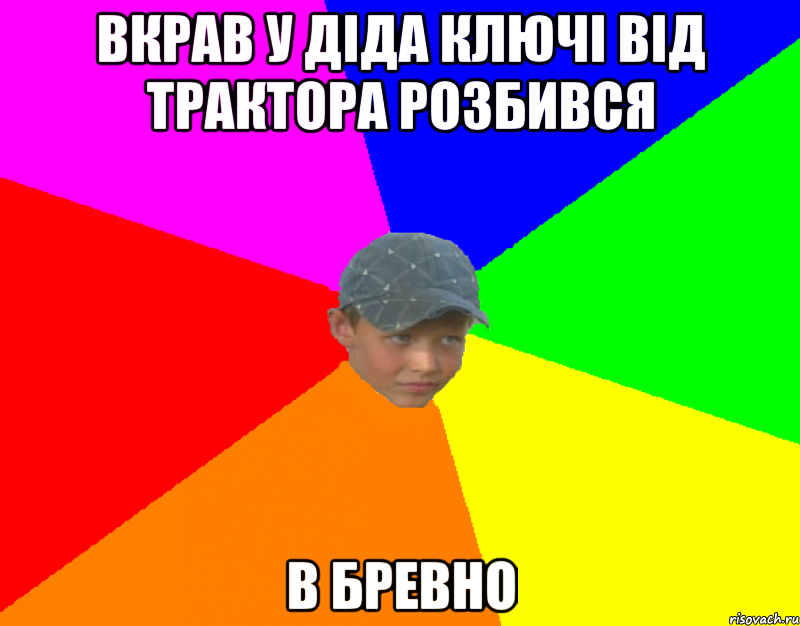 Вкрав у діда ключі від трактора розбився В БРЕВНО