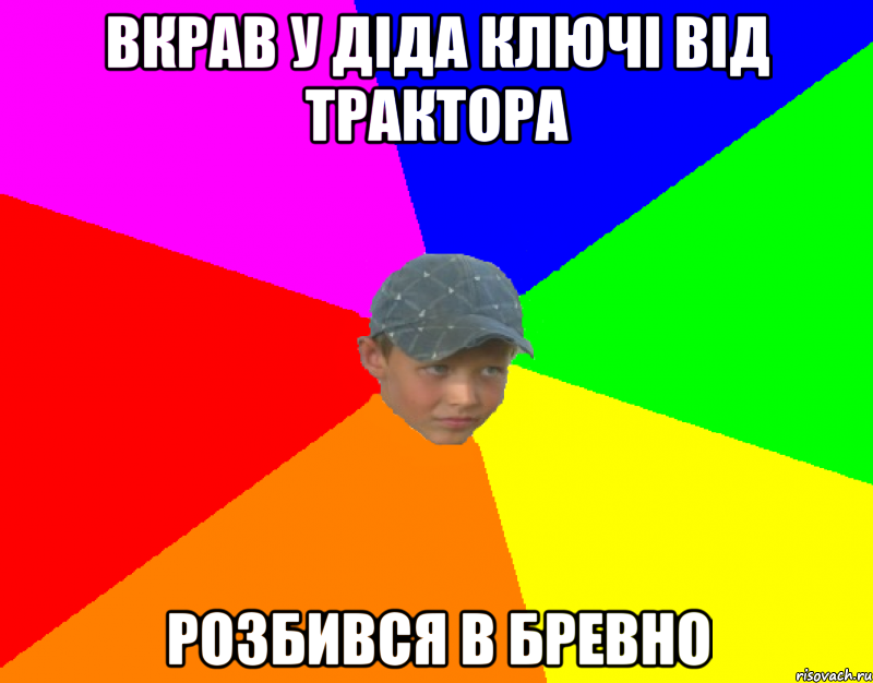 Вкрав у діда ключі від трактора розбився В БРЕВНО