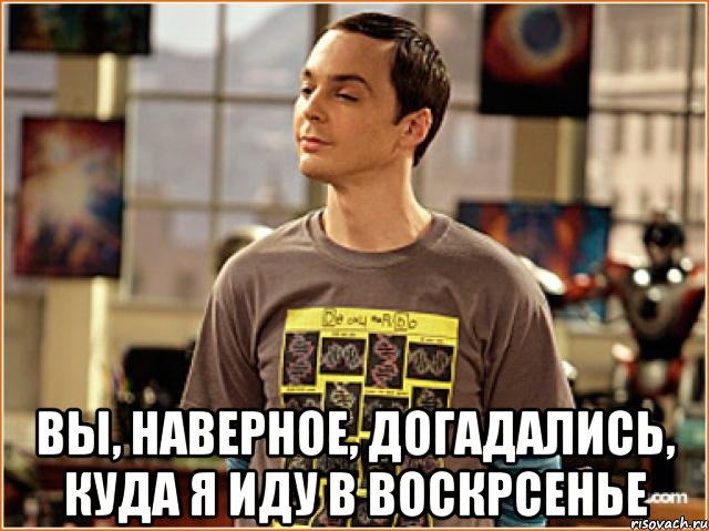  вы, наверное, догадались, куда я иду в воскрсенье, Мем Шелдон в футболке с ДНК