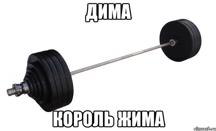 ДИМА КОРОЛЬ ЖИМА