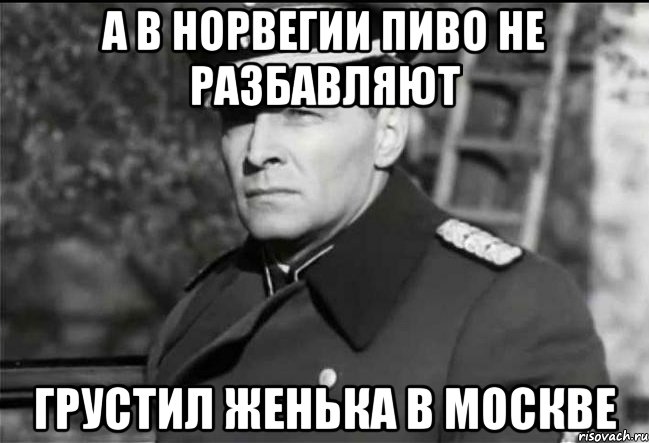 А в Норвегии пиво не разбавляют Грустил Женька в москве, Мем Штирлиц