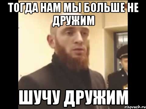 Тогда нам мы больше не дружим Шучу дружим, Мем Шучу