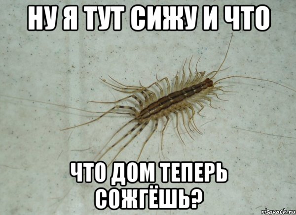 Ну я тут сижу и что Что дом теперь сожгёшь?