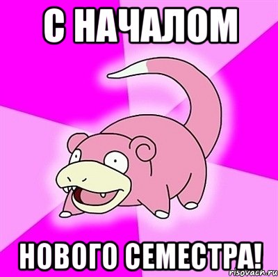 с началом нового семестра!, Мем слоупок