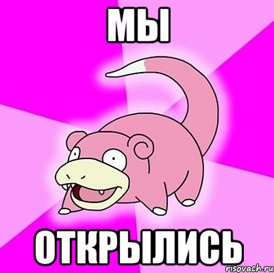 МЫ ОТКРЫЛИСЬ