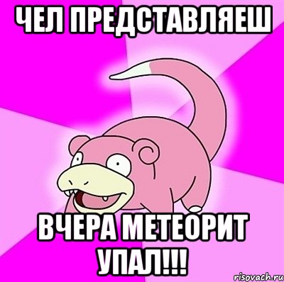 чел представляеш вчера метеорит упал!!!, Мем слоупок