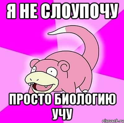 я не слоупочу просто биологию учу